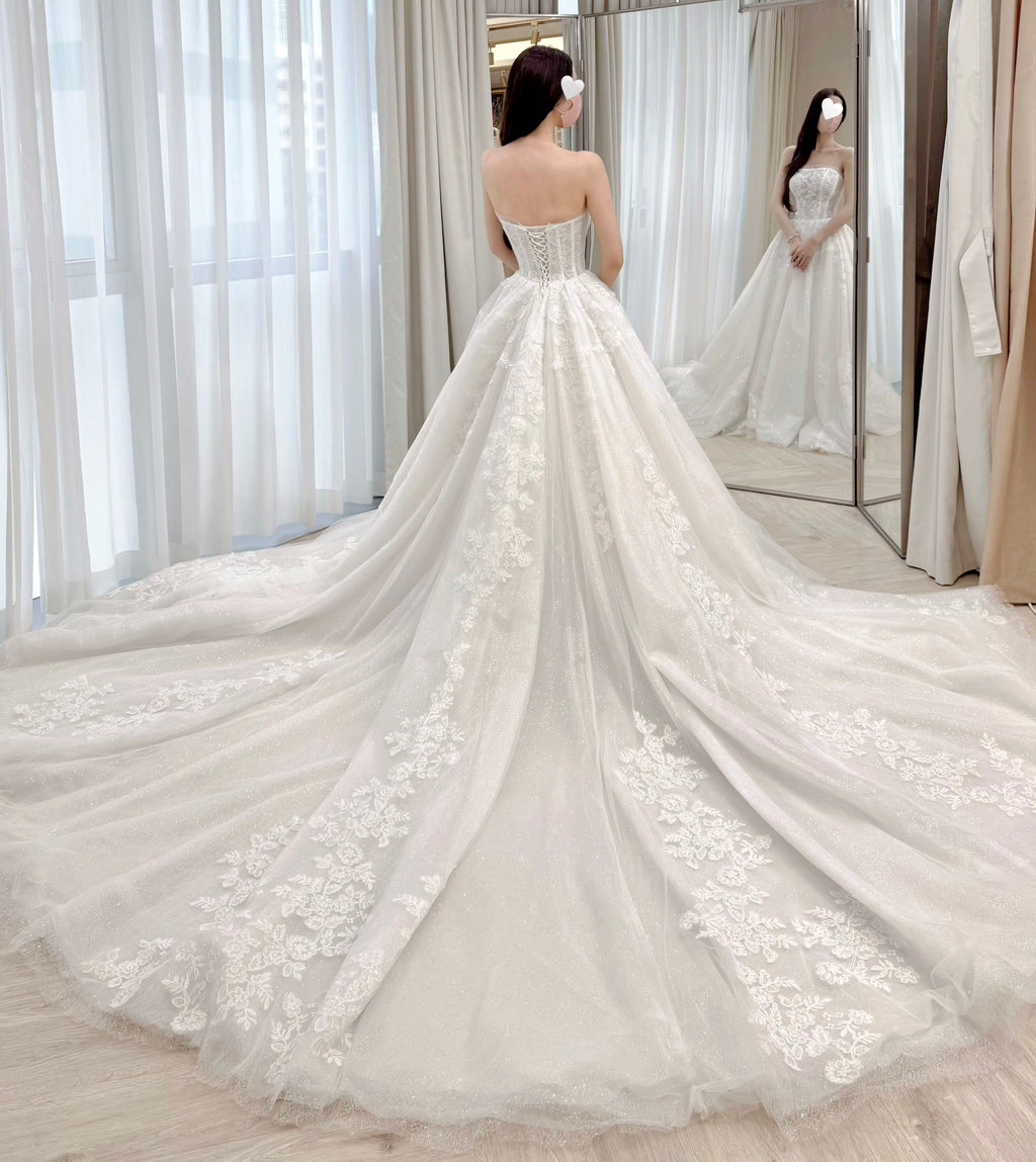 Strapless Corset A-Line Wedding Dress with Grand Lace Train and Choker